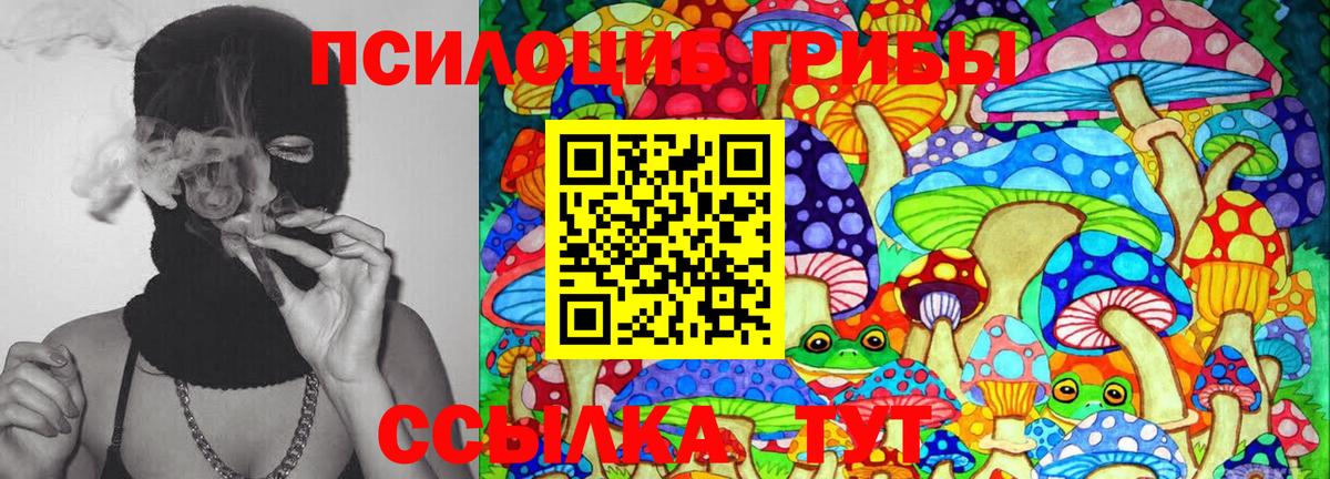 Галлюциногенные грибы MAGIC MUSHROOMS  Псилоцибиновые грибы Psilocybine cubensis  Елец 